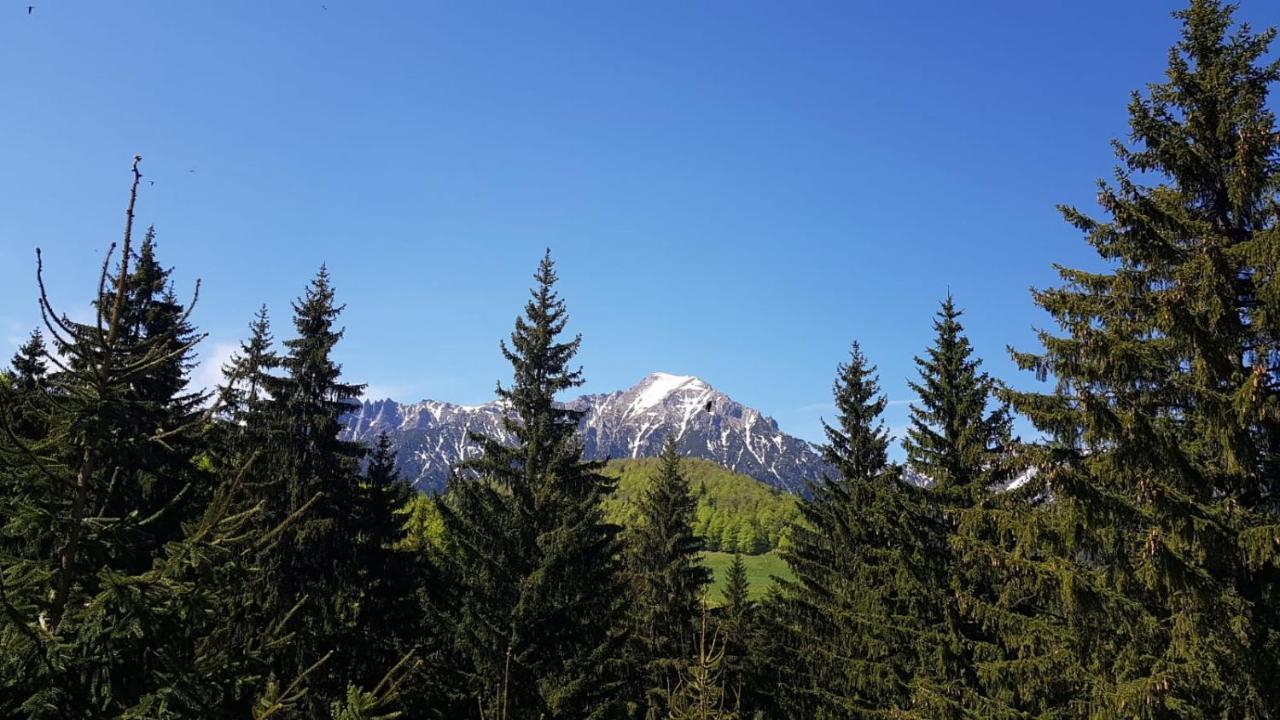 Willa Casa Bondia Pârâul Rece Zewnętrze zdjęcie