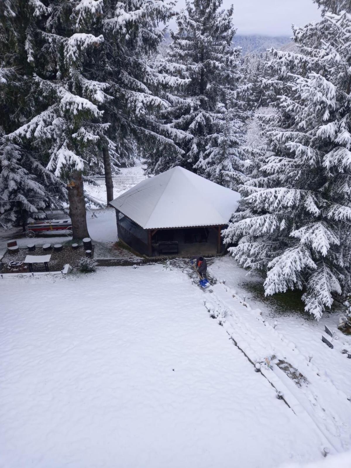 Willa Casa Bondia Pârâul Rece Zewnętrze zdjęcie